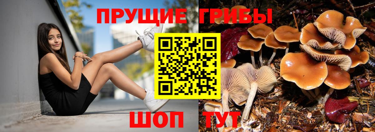 Галлюциногенные грибы мицелий  Псилоцибиновые грибы MAGIC MUSHROOMS  Вход с VPN  Нижневартовск 